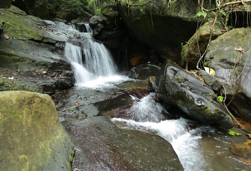 Отель Holistic Stay Eco Resort