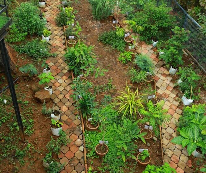 Отель Holistic Stay Eco Resort