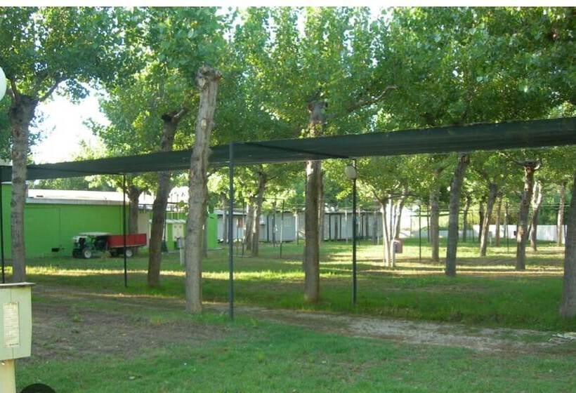 酒店 New Village Europe