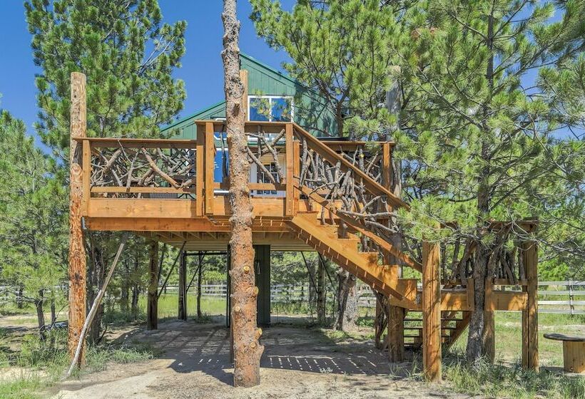 Отель Tree Eagles Nest