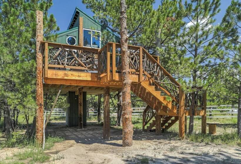 Отель Tree Eagles Nest