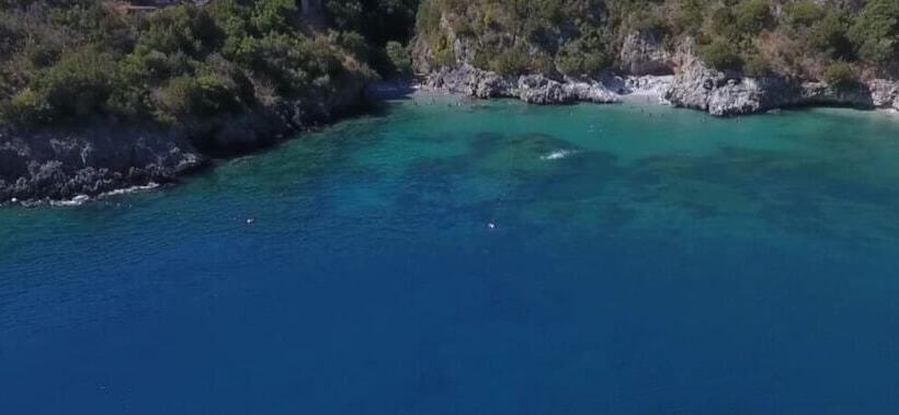 I Fiori Di Donna Ester