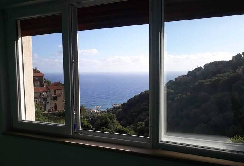 I Fiori Di Donna Ester