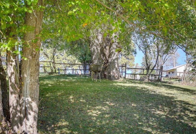 Lead Hideaway W/ Fireplace, Grill & Deck!