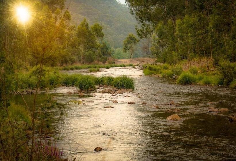 بنسيون Sambar Hills  Kings #3