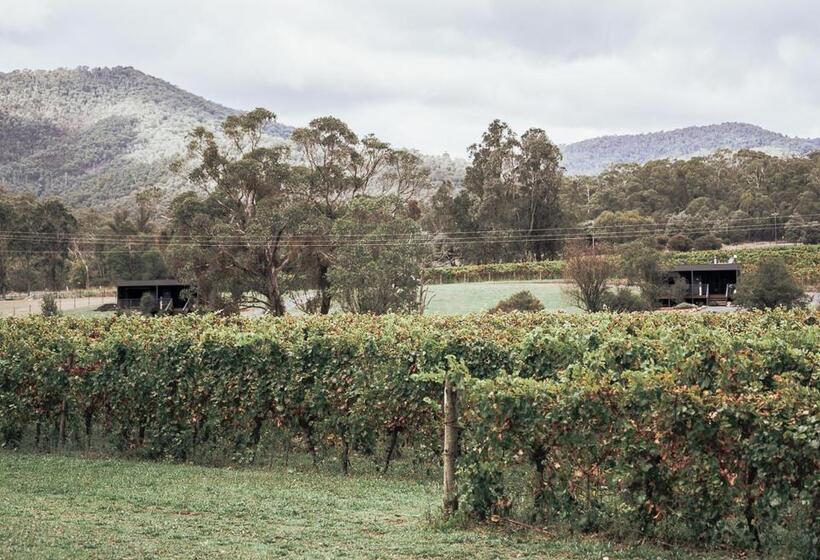 بنسيون Sambar Hills  Kings #3