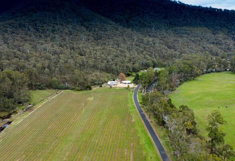 بنسيون Sambar Hills  Kings #3