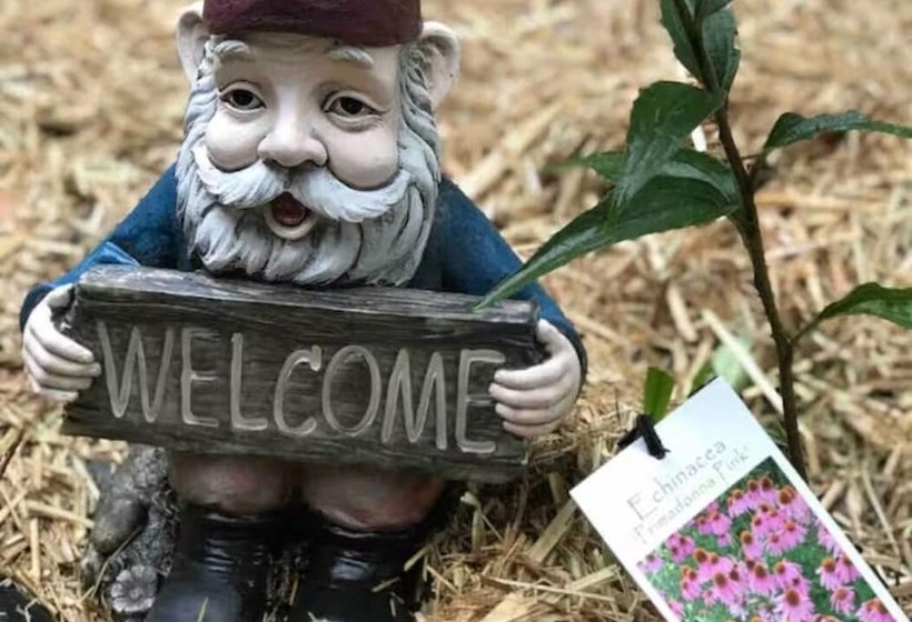 פנסיון Tullys Hut   Walk To Hikes, Waterfalls, Views