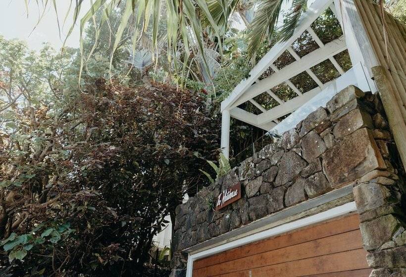 پانسیون White House