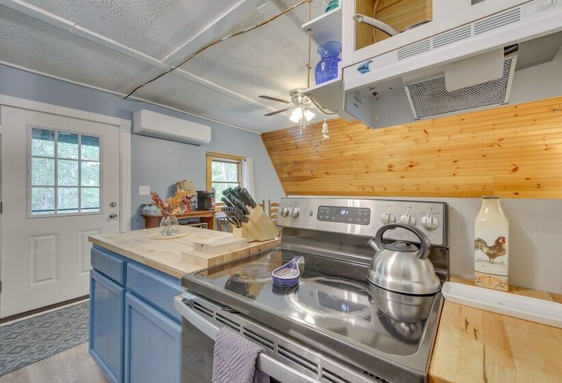 Pet Friendly Belfast Retreat   2 Mi To Downtown!