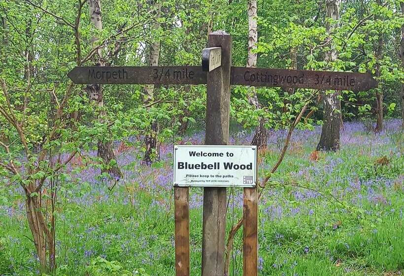 اقامتگاه The Snug, Centre Of Morpeth