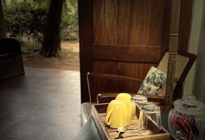 منتجع Dancing Dugong