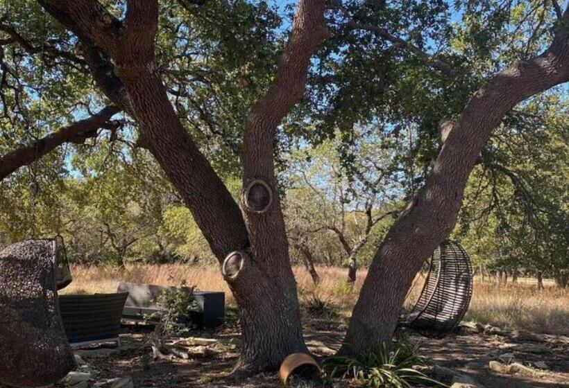 Курорт The Cedars Ranch