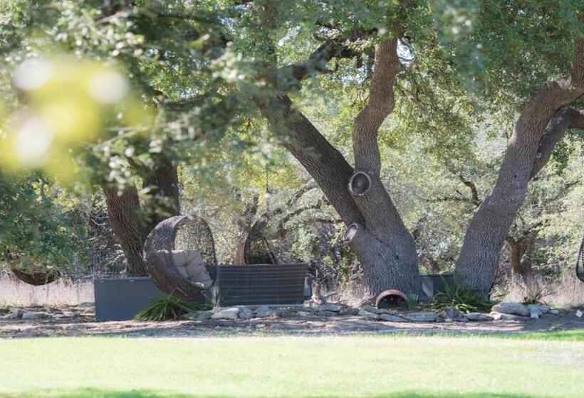 Курорт The Cedars Ranch