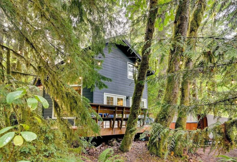 Rhododendron Creekside Cabin W/ Hot Tub & Fire Pit