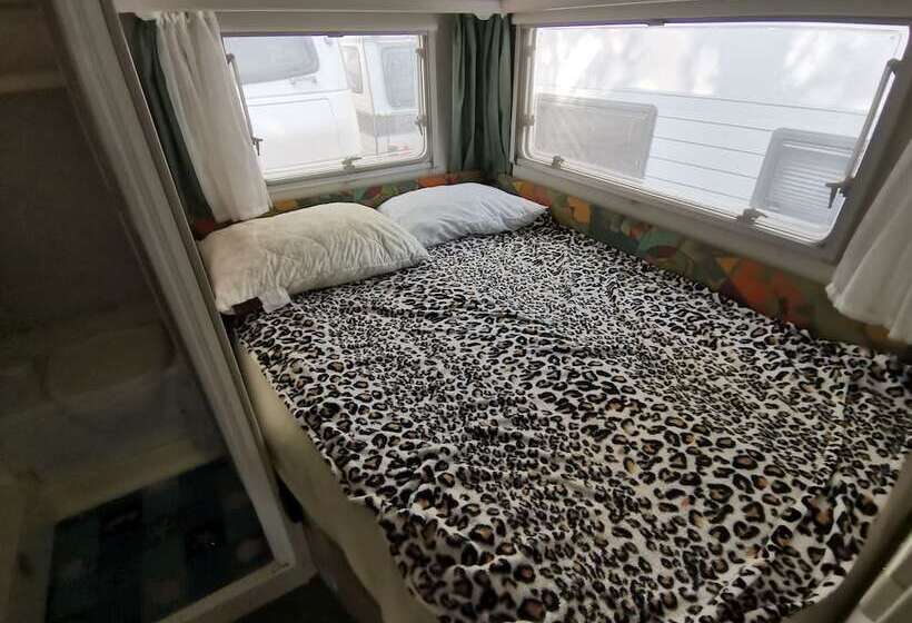 Room In Cabin   Caravan Near The Sea 6