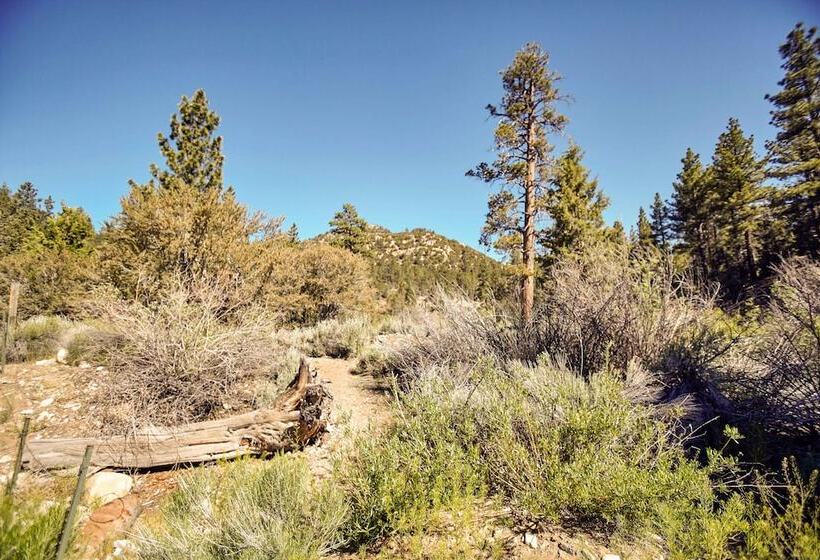 Hot Tub & Deck: Big Bear City Cabin Near Skiing