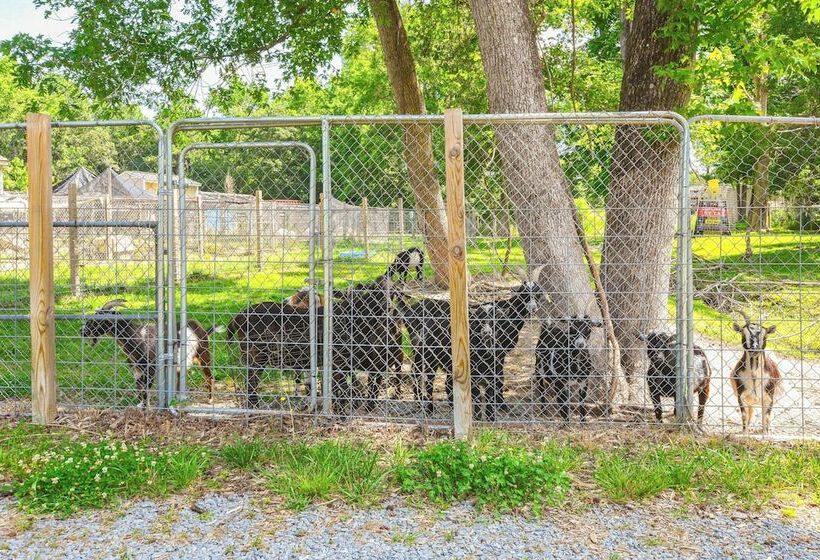 Waterfront Benson Retreat: Rescue Farm W/ A Lake!