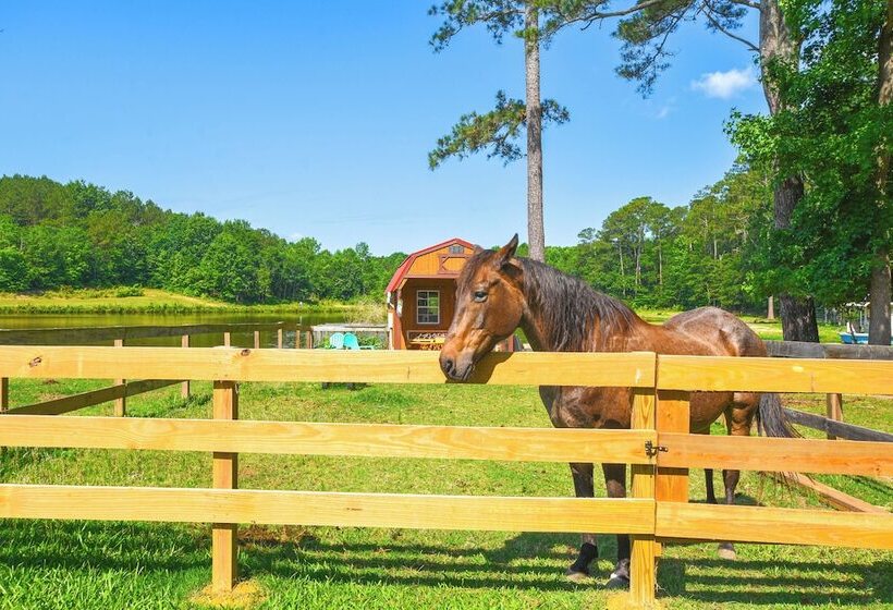 Waterfront Benson Retreat: Rescue Farm W/ A Lake!