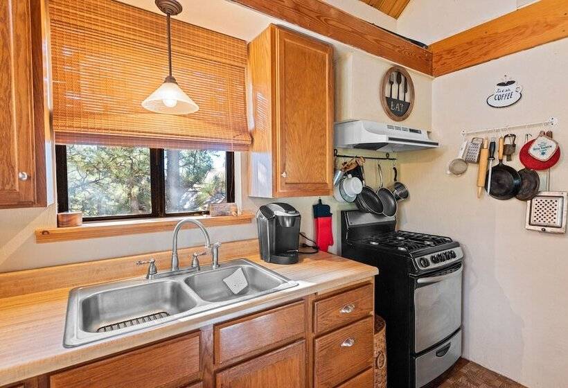 Treehouse On Rainbow