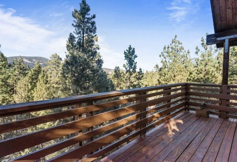 Treehouse On Rainbow