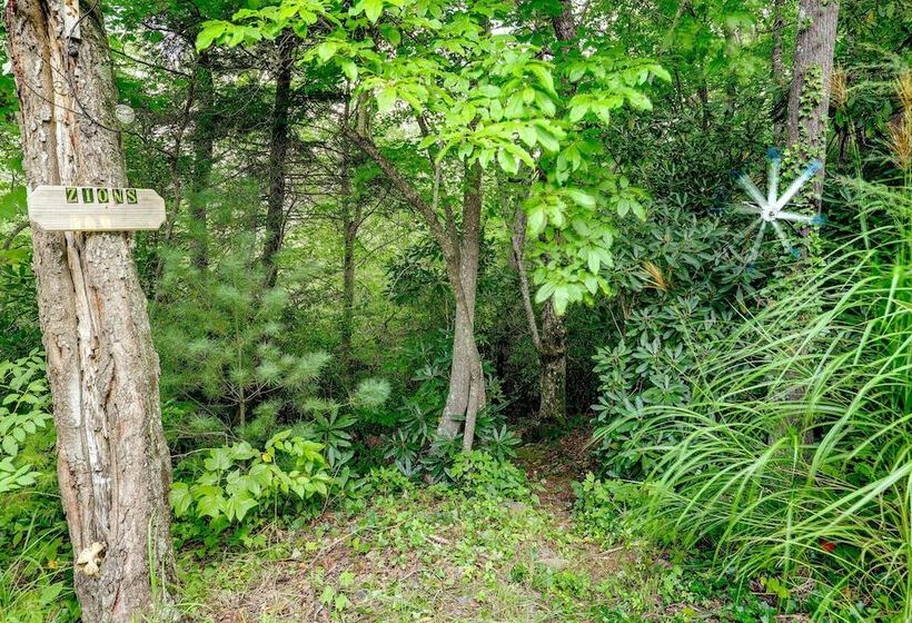 Black Mountain Retreat W/ Hot Tub + Mountain Views