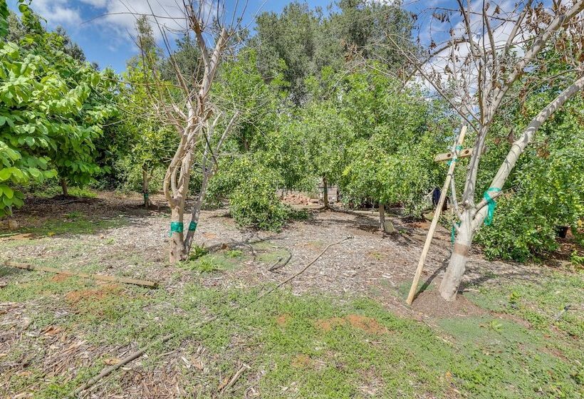 Cozy Escondido Escape Near Hiking & Downtown!