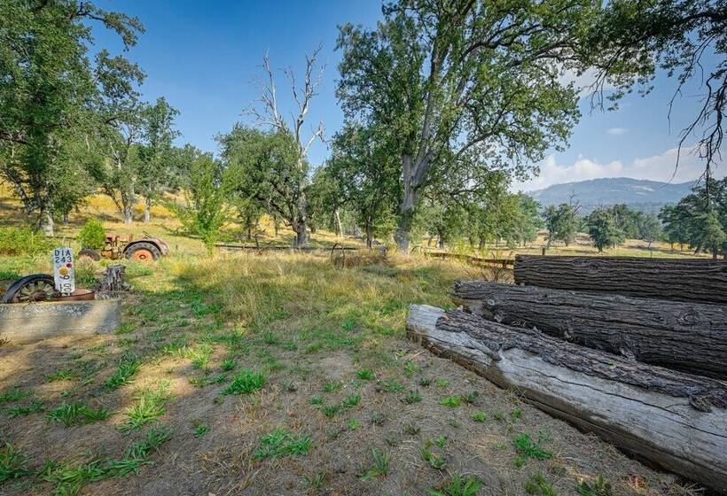 Countryside Views: Family Friendly Badger Cabin