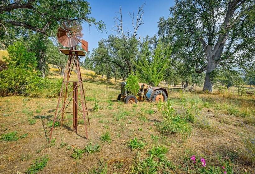 Countryside Views: Family Friendly Badger Cabin