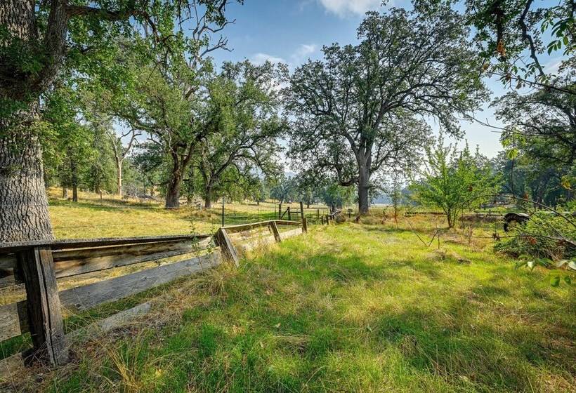 Countryside Views: Family Friendly Badger Cabin