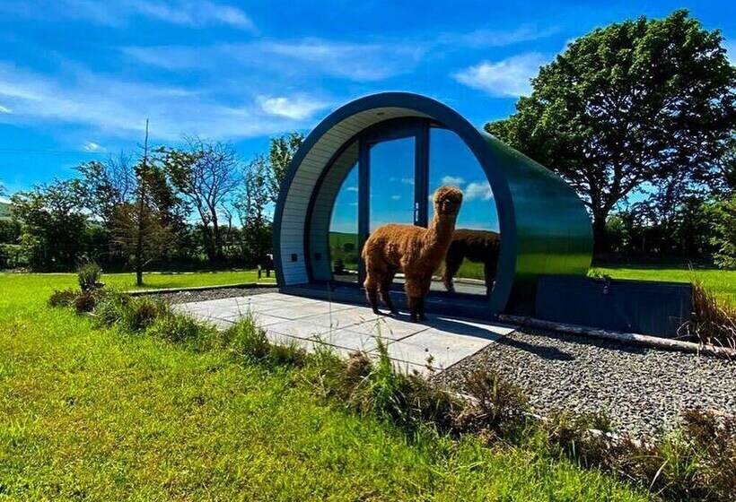 בית מלון כפרי Black Knowe, Luxury Glamping Pods, Ballycastle