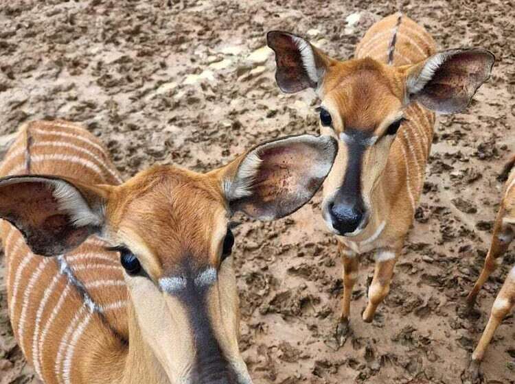 酒店 Deo Volente Country Estate