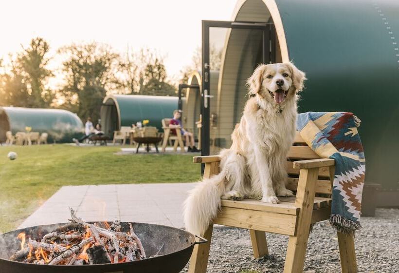 Отель Kinelarty Luxury Glamping Pods Downpatrick