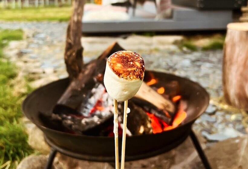 Отель Kinelarty Luxury Glamping Pods Downpatrick