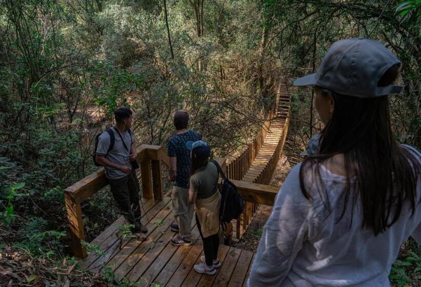 فندق Reserva Natural Iguazú   Pristine Luxury Camp