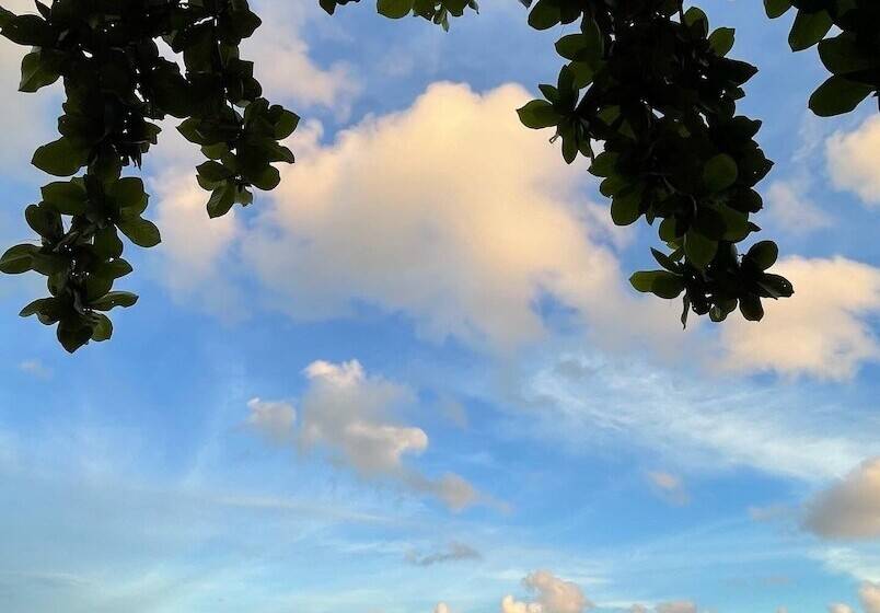 Phuket Muay Thai Hotel Rawai Beach