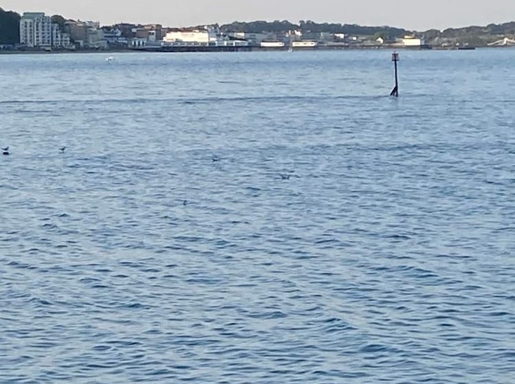 호텔 3 Bedroom Ensuite Caravan