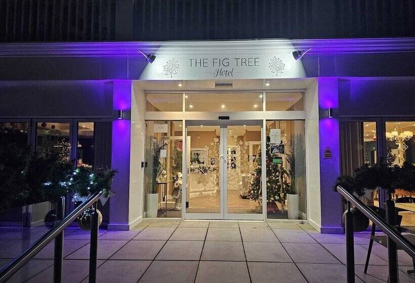 בית מלון כפרי The Fig Tree Shanklin