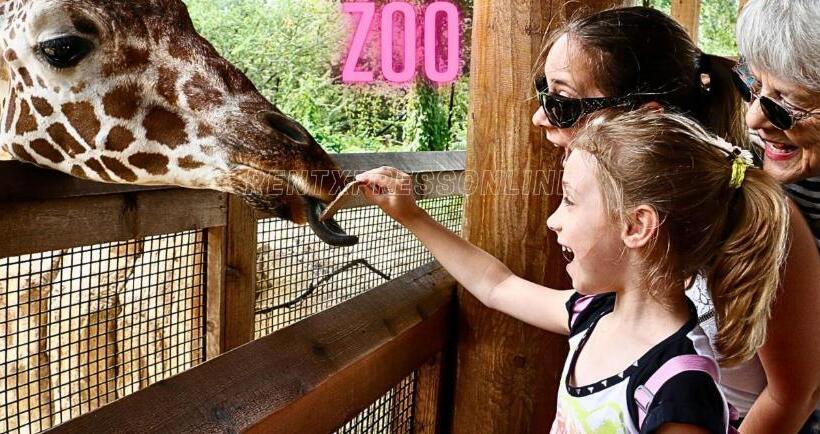 בית מלון כפרי Unwind In Style Manilas Most Affordable Balcony Staycation With 80 Percent Off, Free Pool & Sauna Ac