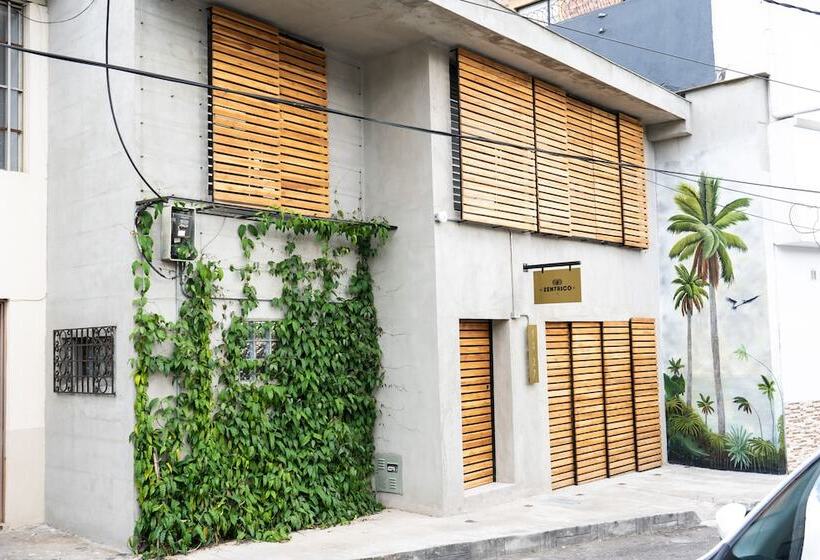 호텔 Zentrico Boutique