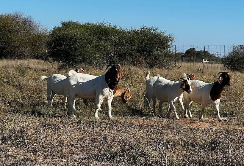 Пансион Eids Farm