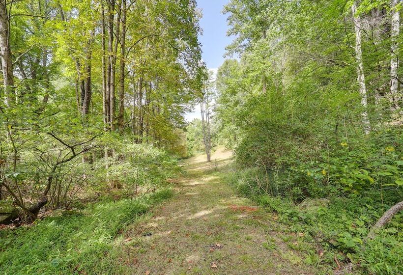 Home On 60 Acres Near Beech Mtn!