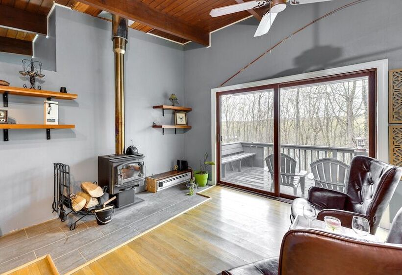 Alpine House  Modern Delevan Cabin On 2 Acres