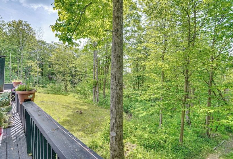 Alpine House  Modern Delevan Cabin On 2 Acres