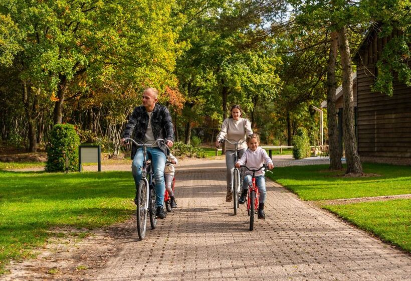 استراحتگاه Europarcs Ruinen