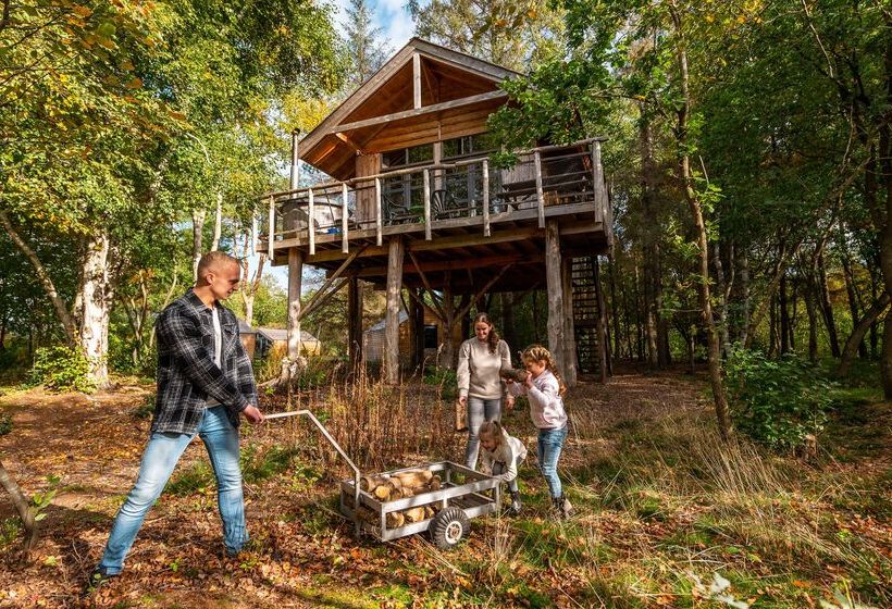 استراحتگاه Europarcs Ruinen