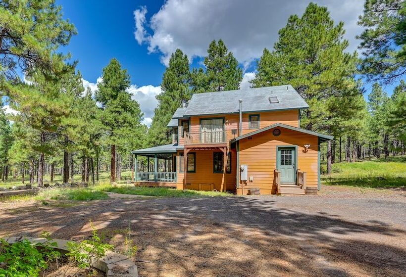 Rural Cabin Bordering Coconino National Forest!