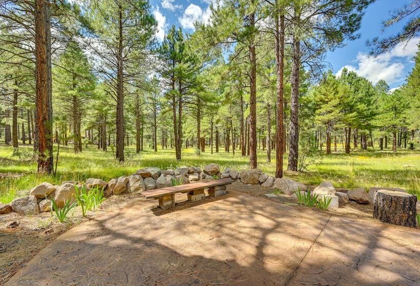 Rural Cabin Bordering Coconino National Forest!