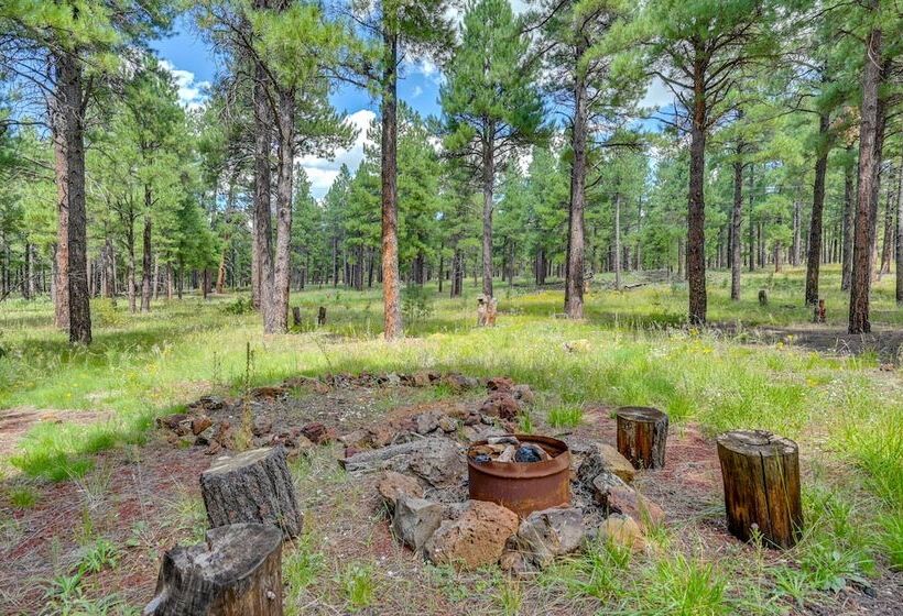 Rural Cabin Bordering Coconino National Forest!
