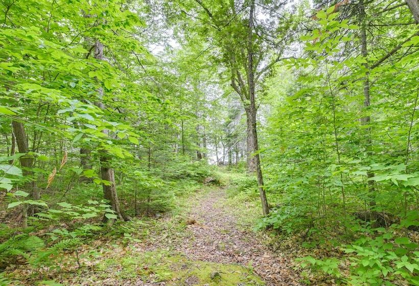 Secluded Harmony Cabin W/ Deck, Dock, Boats!